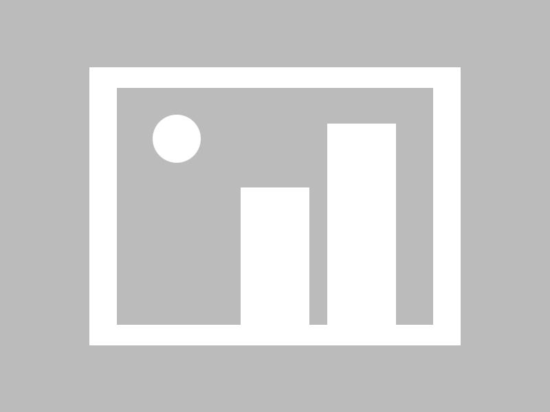 -开拓者队新秀表现惊艳，开拓者队阵容名单最新