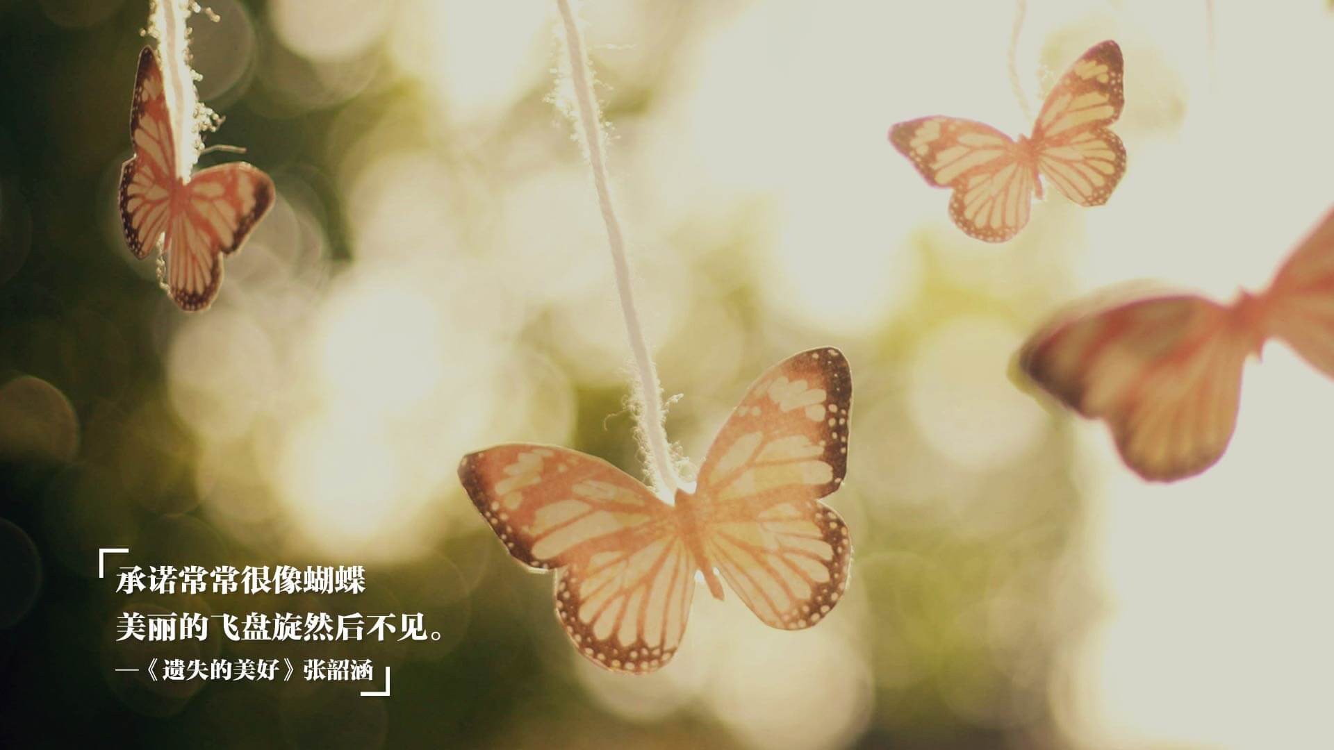 Jiuyou-_夜幕城市骑行：灯火中的速度狂欢_，骑行夜景