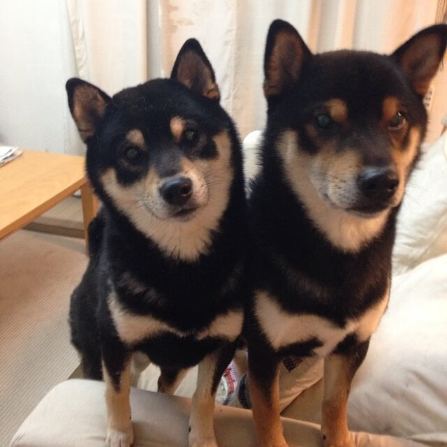 _城市漂移车:速度与技巧的极限挑战_,城市漂移怎么过