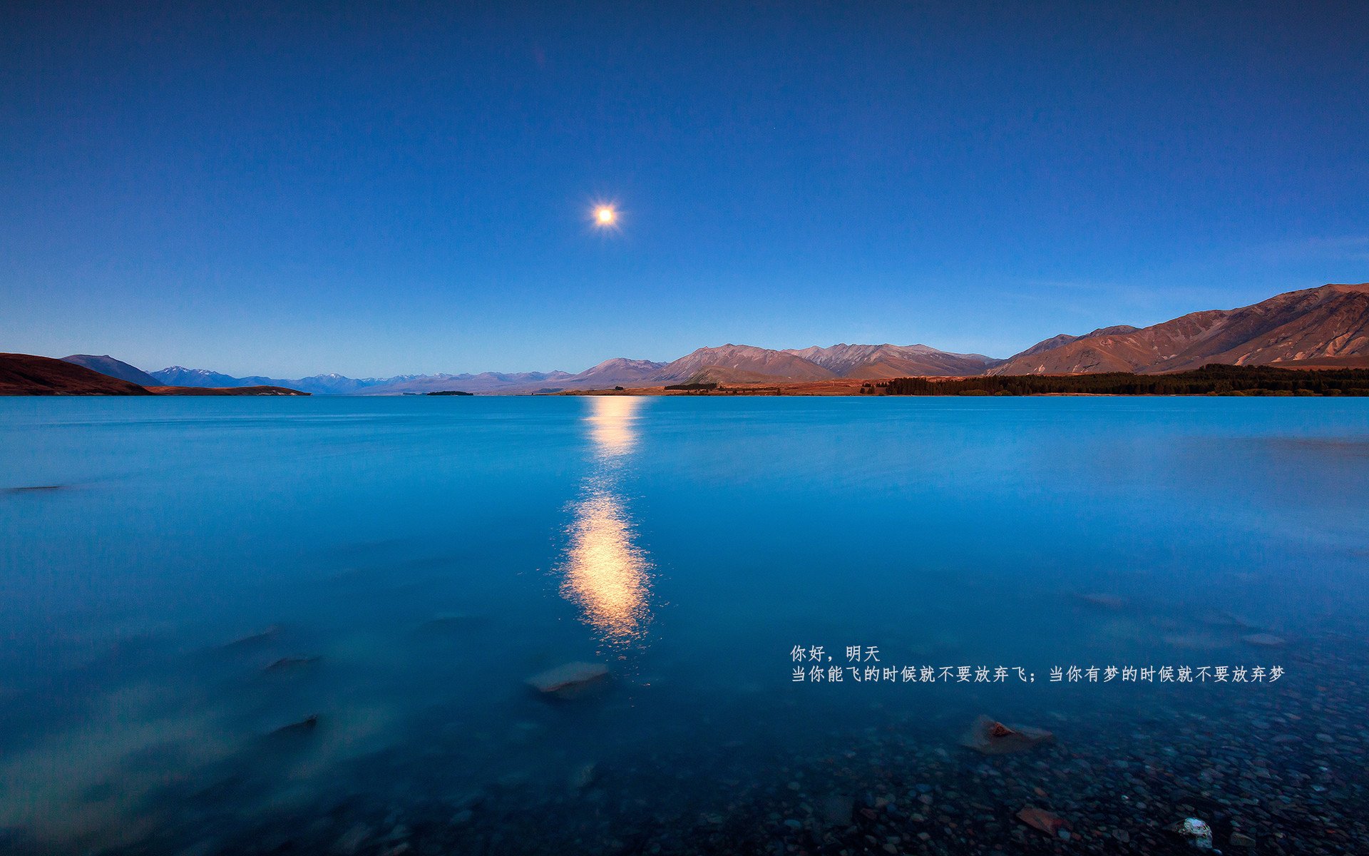 _火箭队迎战强敌，奋勇争胜_，火箭队伍