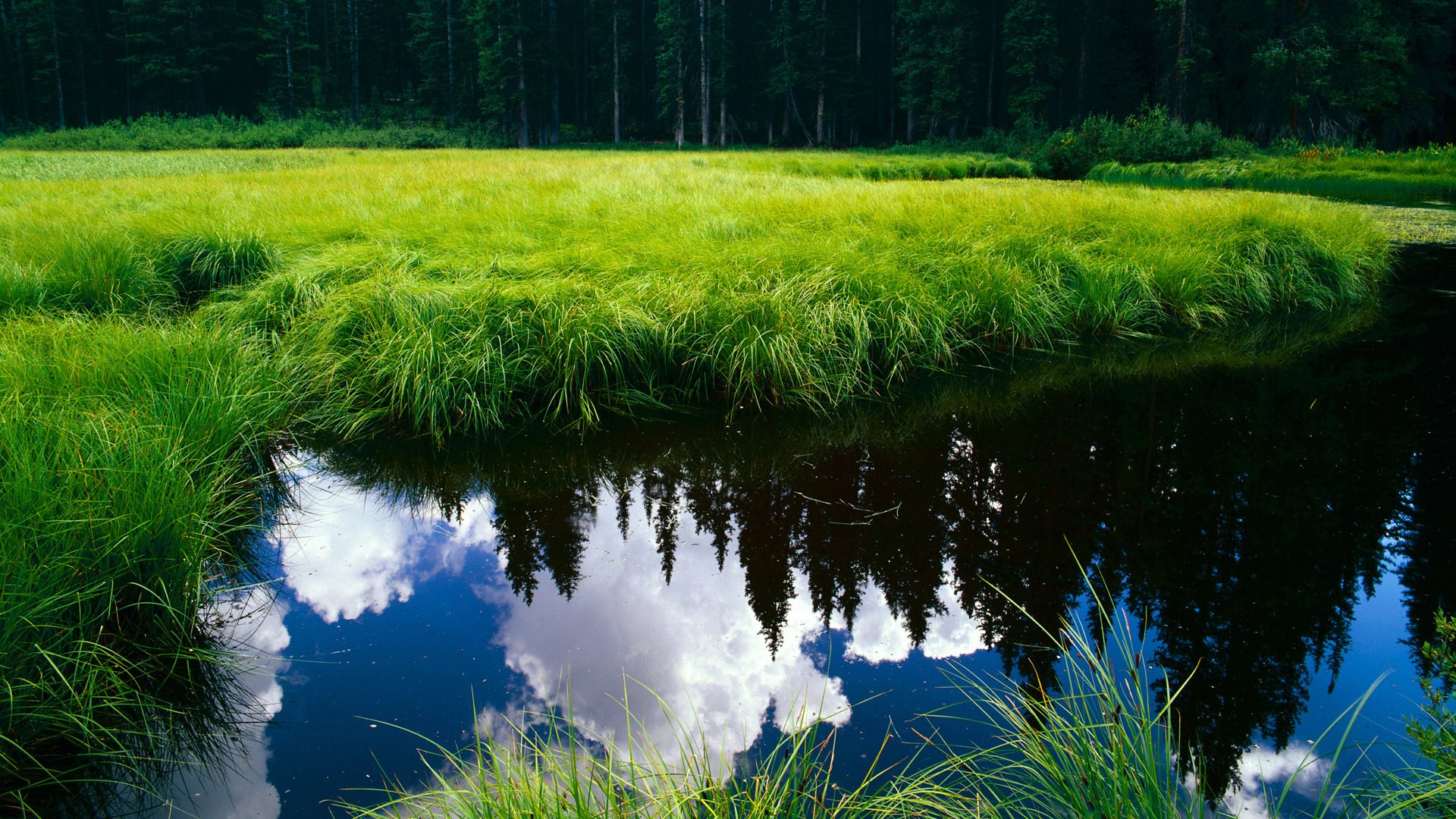 JiuyouAPP下载-“智慧场馆+绿色基础”行业新标准在全国落地不断推进，绿色标准化生产示范基地