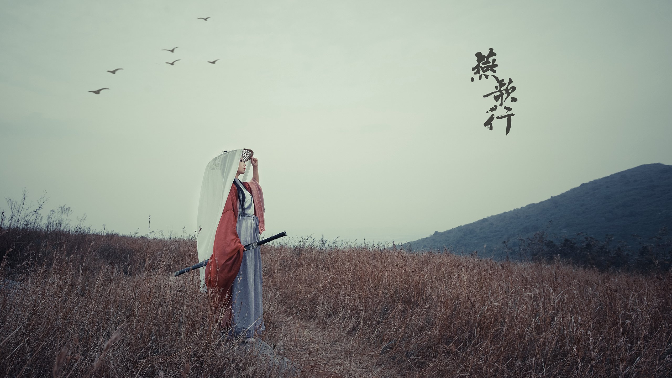 “足球场馆全面升级,确保未来赛事顺利举行”,足球展厅