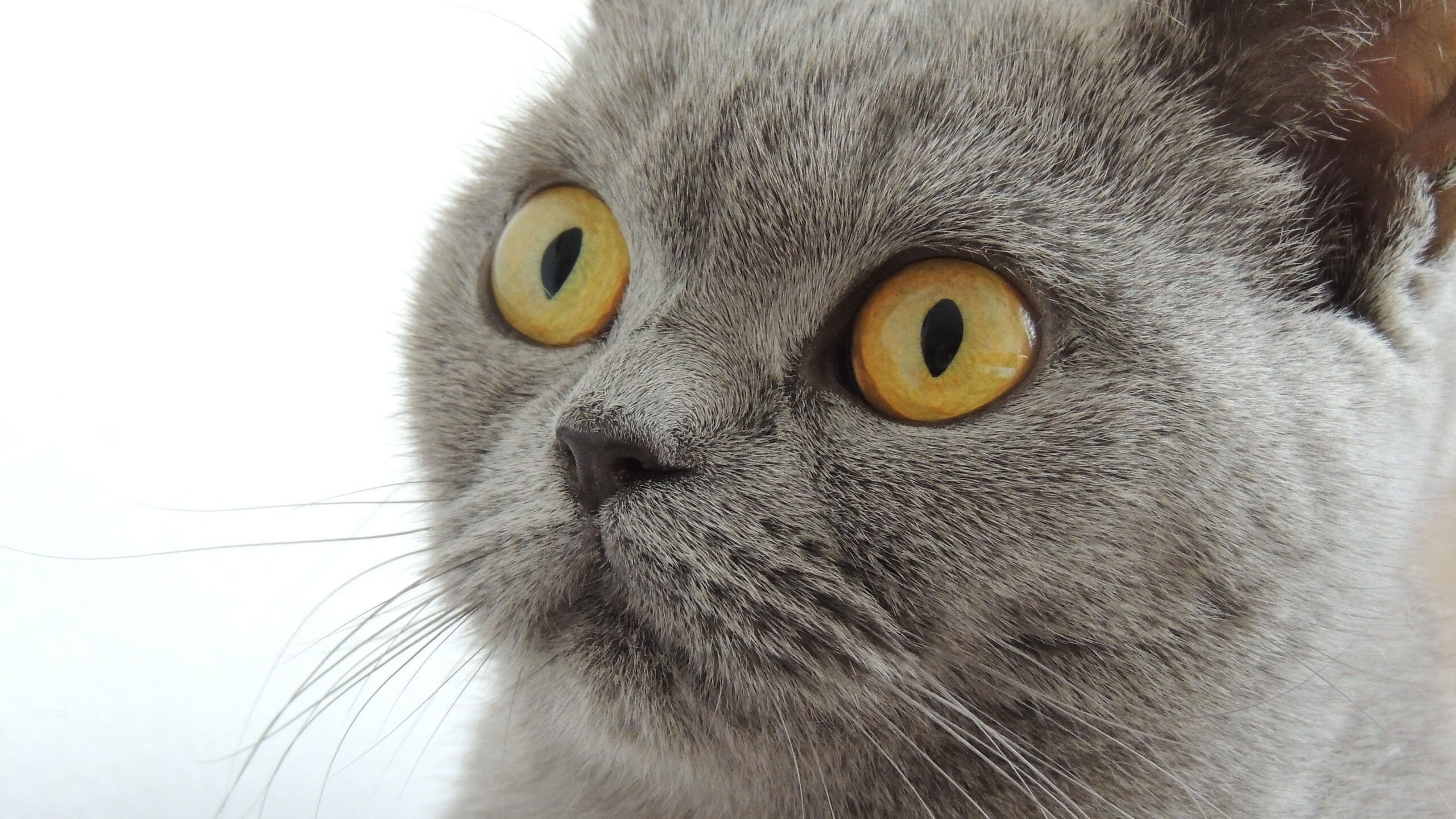 九游游戏中心-地方政府联合推动足球运动发展，打造特色足球小镇，《关于开展全国足球发展重点城市建设工作的指导意见》