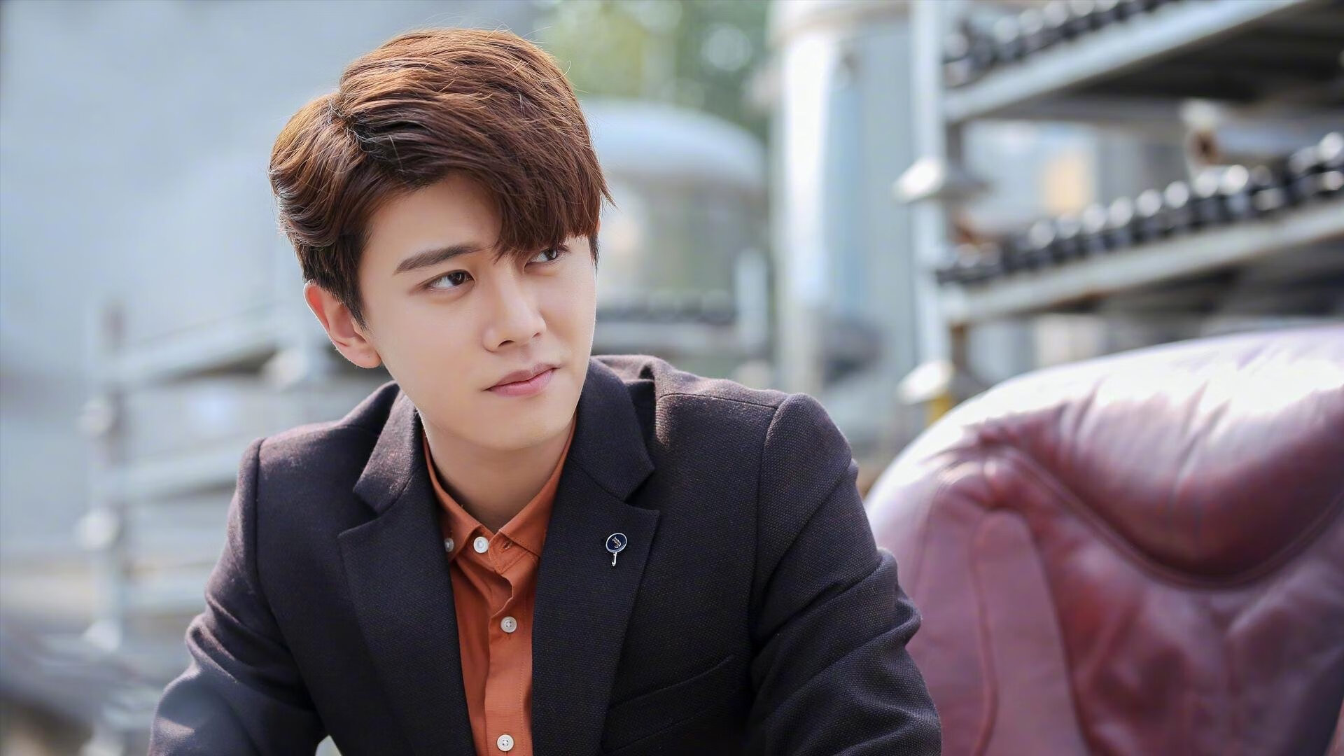 泰国马术协会设立马匹福利基金，支持马匹退休生活。，泰国马杀鸡有哪些项目