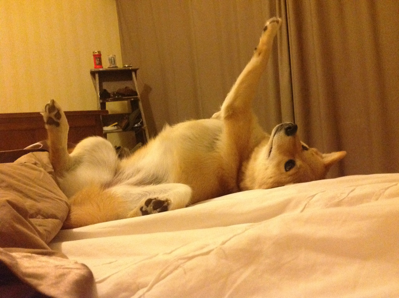 法甲比赛高潮迭起,精彩进球和战术调整成为焦点,法甲集锦