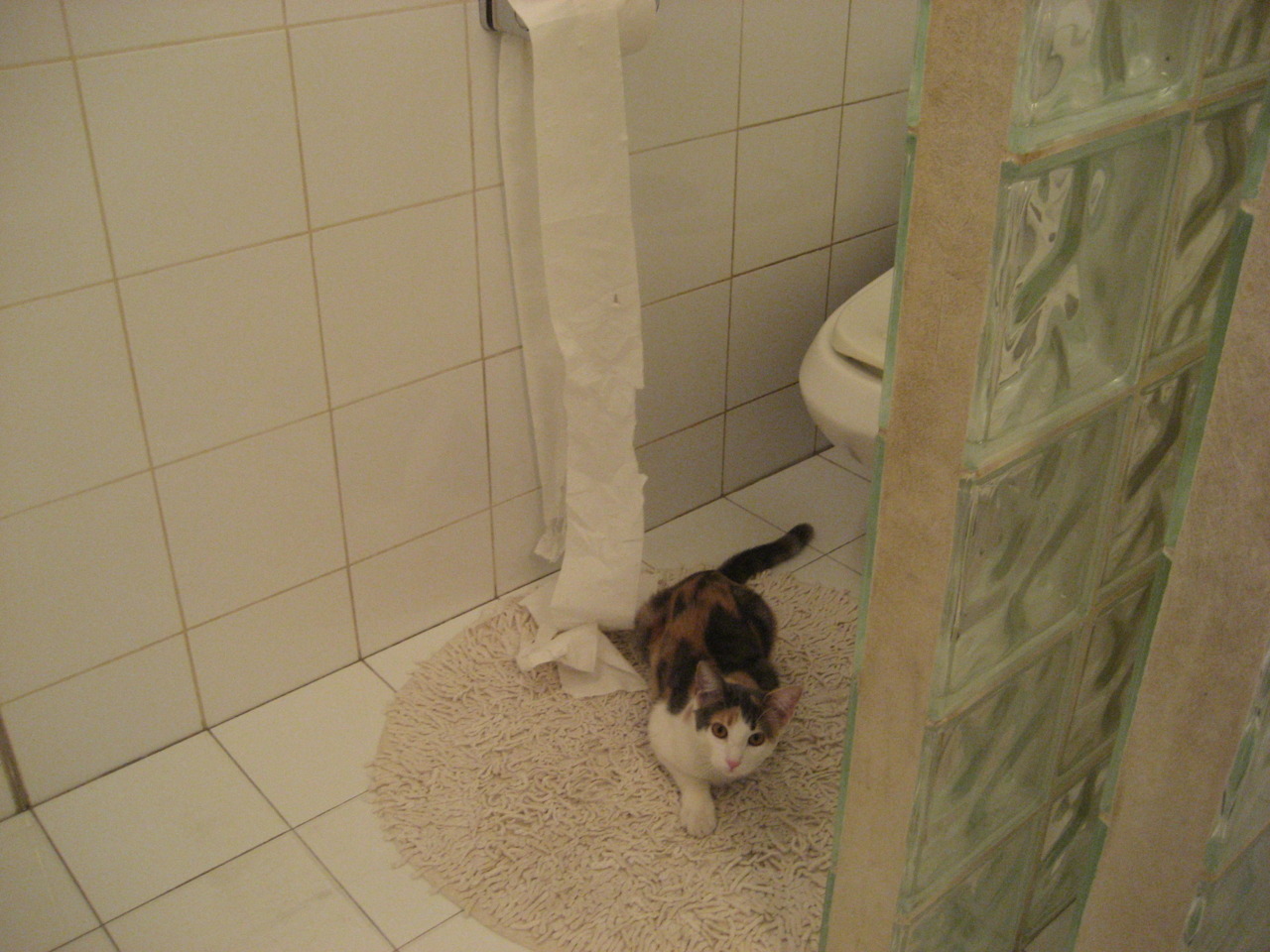 足球改革试点启动,中乙联赛引入“挑战裁判”机制,中国足球中乙