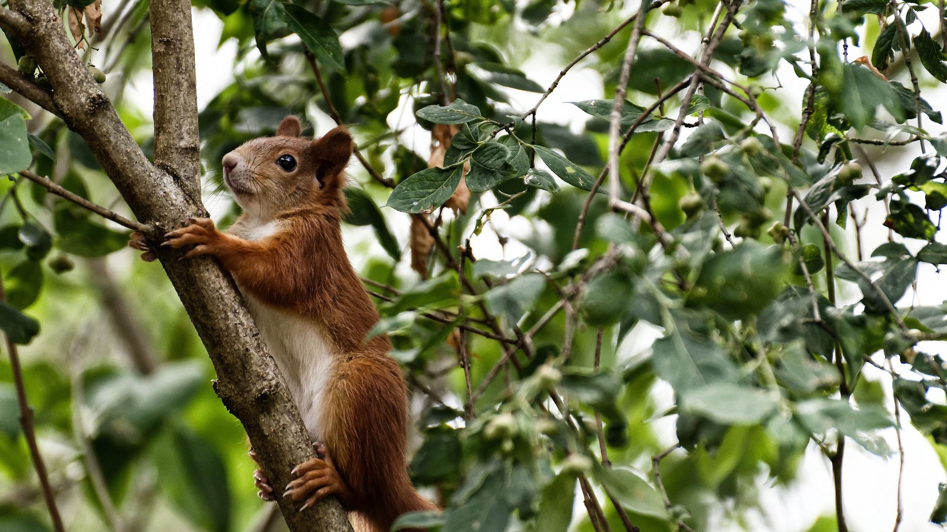 青少年“梦想启航”全国篮球训练营在南京盛大启动,推动青训行业升级