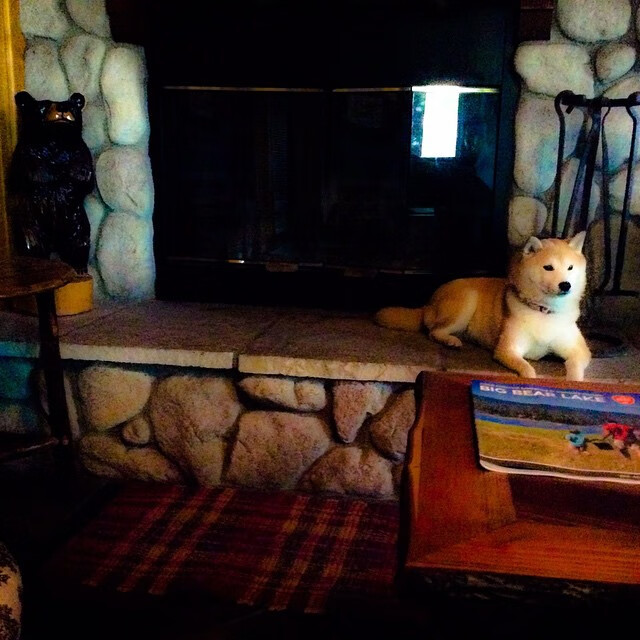 C罗连续进球助吉达联合取胜，c罗国家队进球和助功