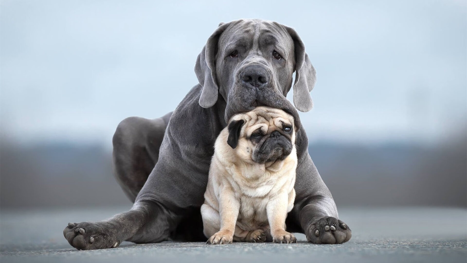 -LCK新人训练营启动，lol新手训练营领取的东西在哪