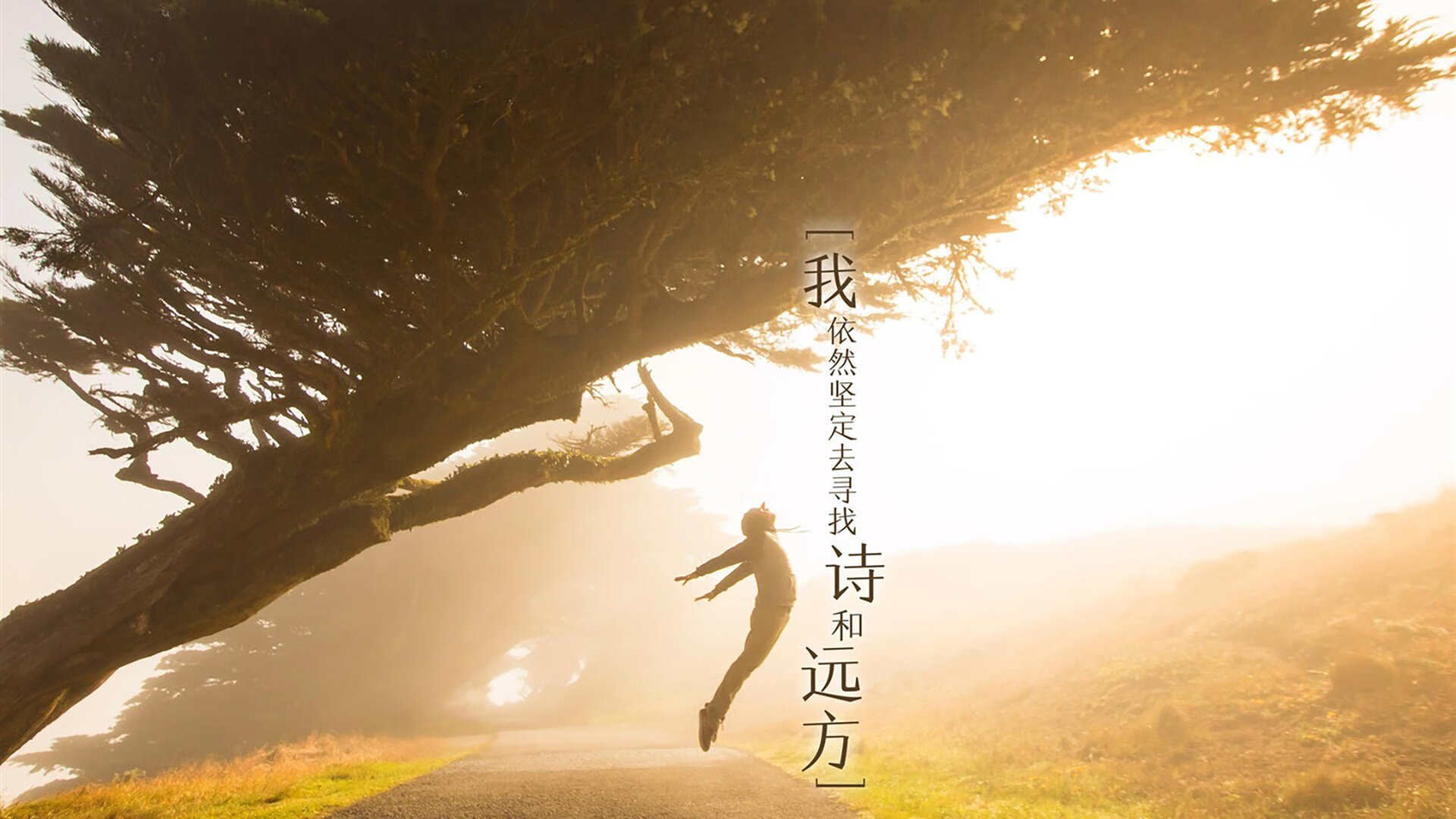 川崎前锋备战亚冠赛事,川崎前锋提前夺冠