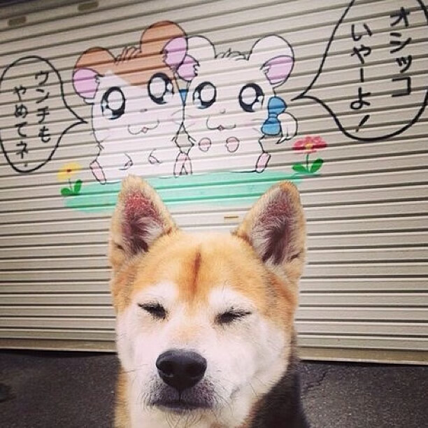 九游登录中心-巴萨主场4-1大胜赫塔费，状态回暖，巴萨vs赫塔菲视频回放