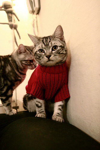 世界青少年足球锦标赛中国青年队逆转晋级,国际足联世界青年足球锦标赛