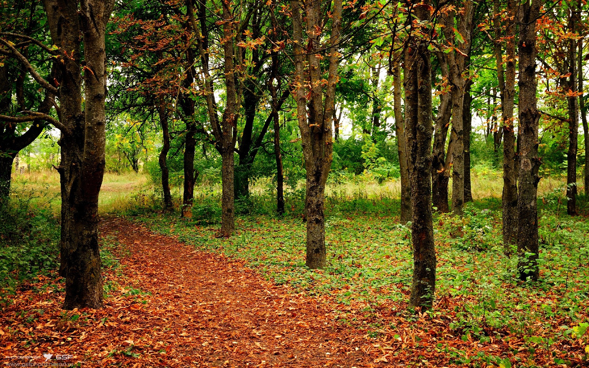 东亚杯U23国足惨败 球迷情绪波动较大，东亚杯国足3比0韩国