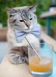 加拿大队如何在国际乒联混合团体世界杯中迎接挑战，加拿大乒乓球外援