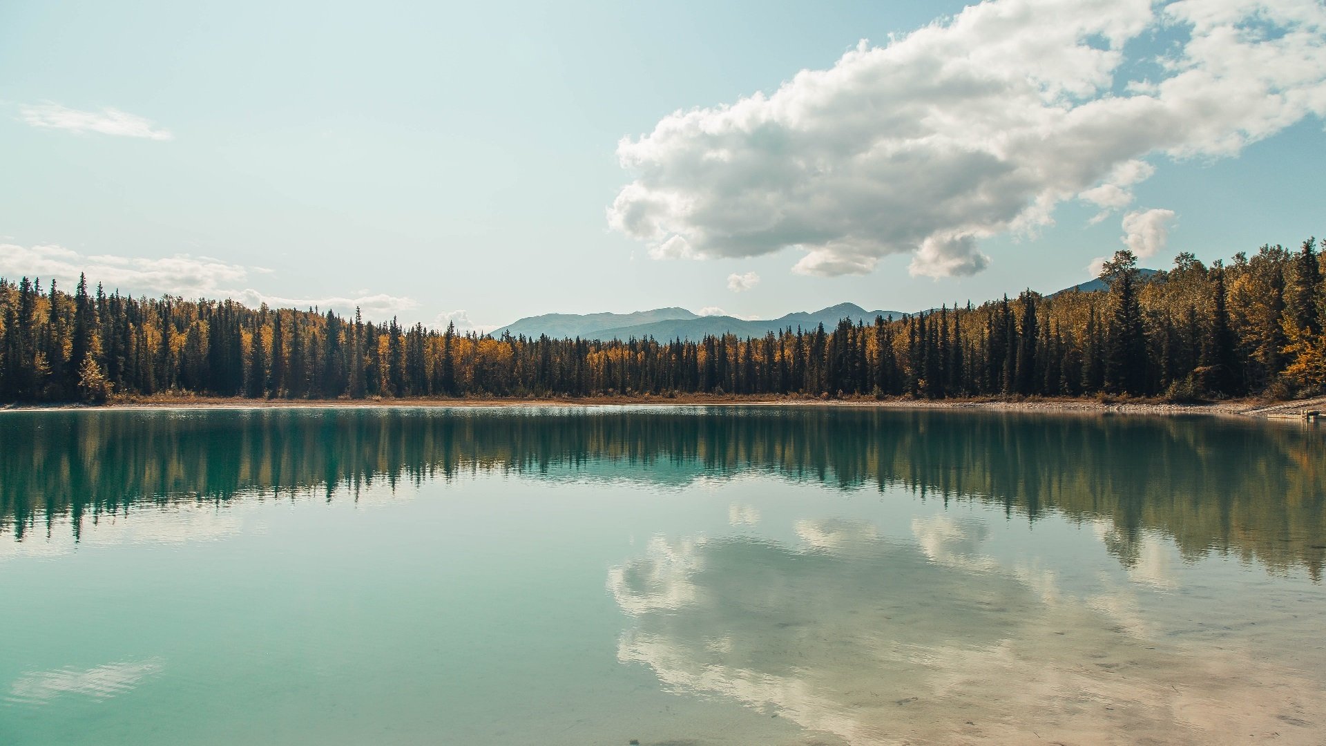 普劳德赛后:这一跳我很满意,普劳斯集锦