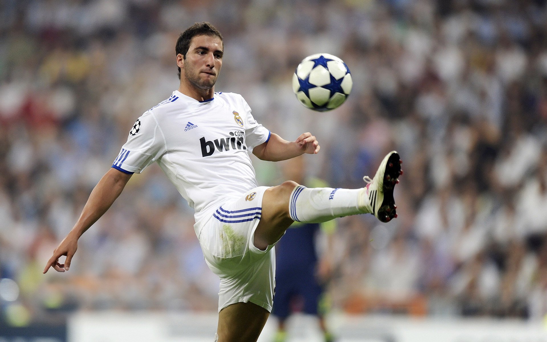 体育新闻中心发布体育创作者职业发展支持政策，体育行业创业的方向